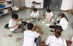 雨后田间实训提效 开展枸杞清淤扦插